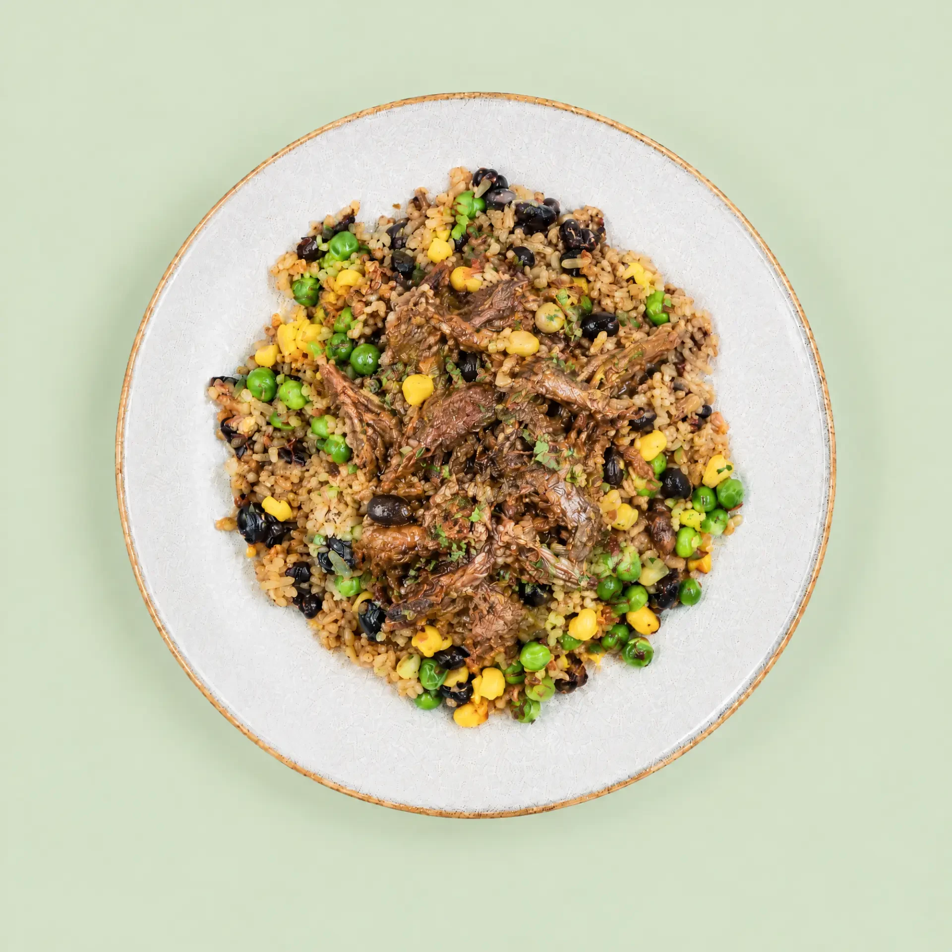 Mexican Pulled Beef, Beans & Rice served on a plate